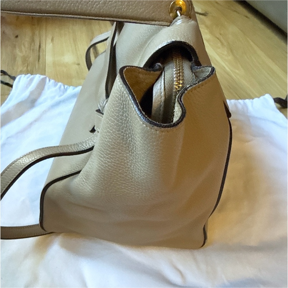 Authentic Celine Mini Belt Bag Grained Calfskin With Gold Finishing Taupe - Picture 7 of 12